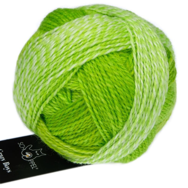 Zauberball Crazy Boys - Sock/Fingering