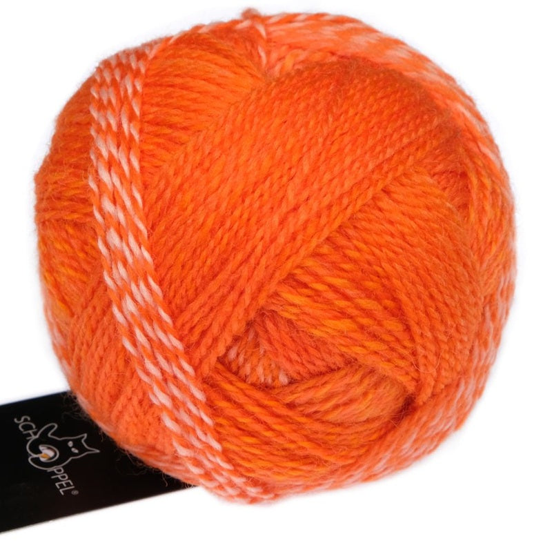 Zauberball Crazy Boys - Sock/Fingering
