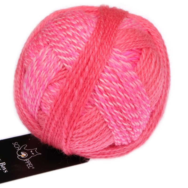 Zauberball Crazy Boys - Sock/Fingering
