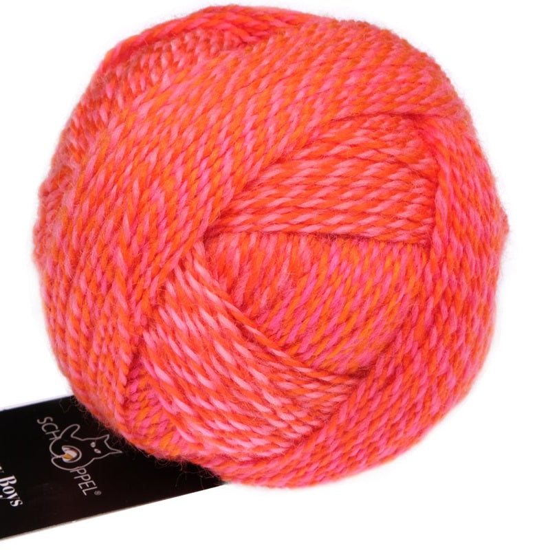 Zauberball Crazy Boys - Sock/Fingering