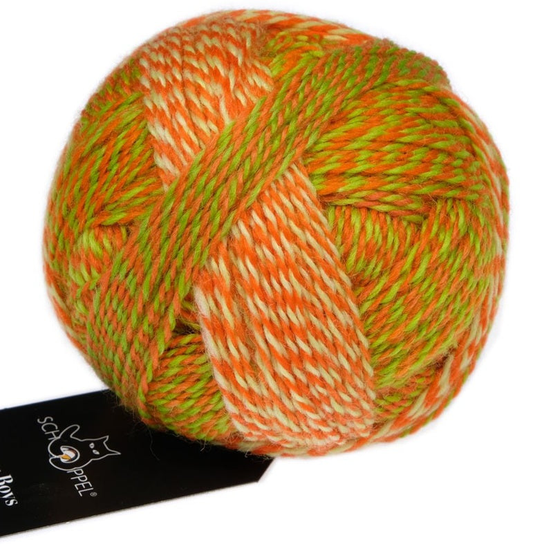 Zauberball Crazy Boys - Sock/Fingering