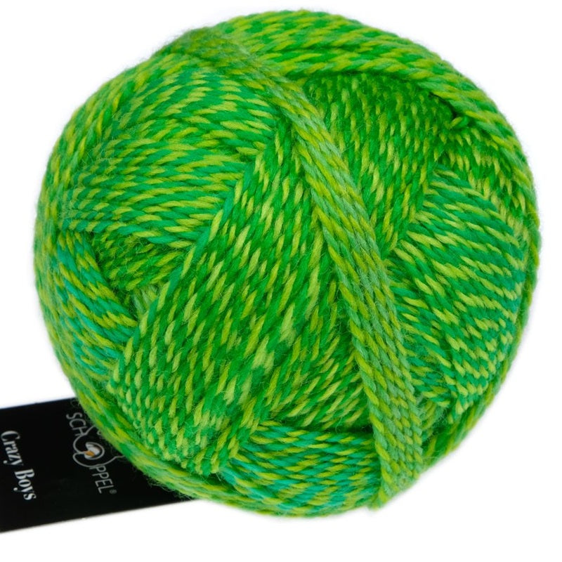 Zauberball Crazy Boys - Sock/Fingering