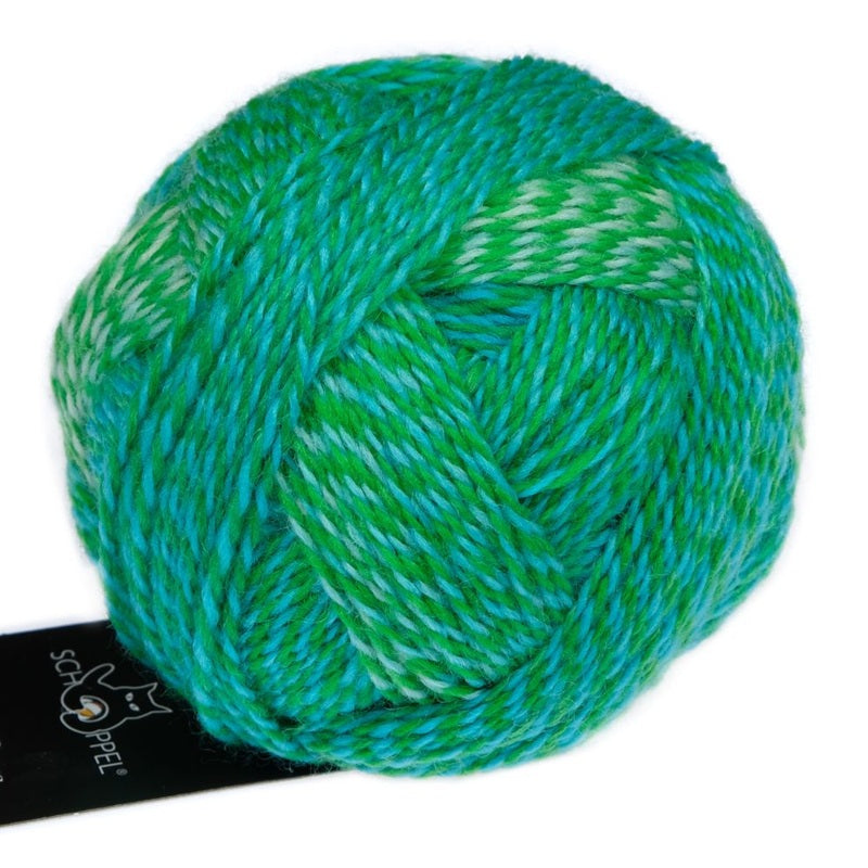 Zauberball Crazy Boys - Sock/Fingering