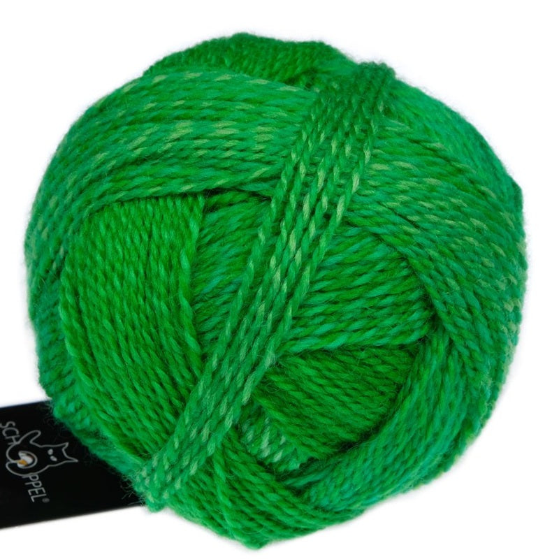 Zauberball Crazy Boys - Sock/Fingering