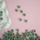 1/2" Corozo Nut Button - 6 pack