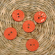 18mm Glossy Akoya Pearl Shell Buttons - Sold Individually