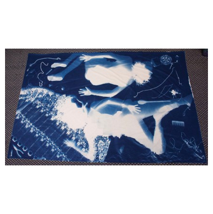 Example of cyanotype mural fabric.